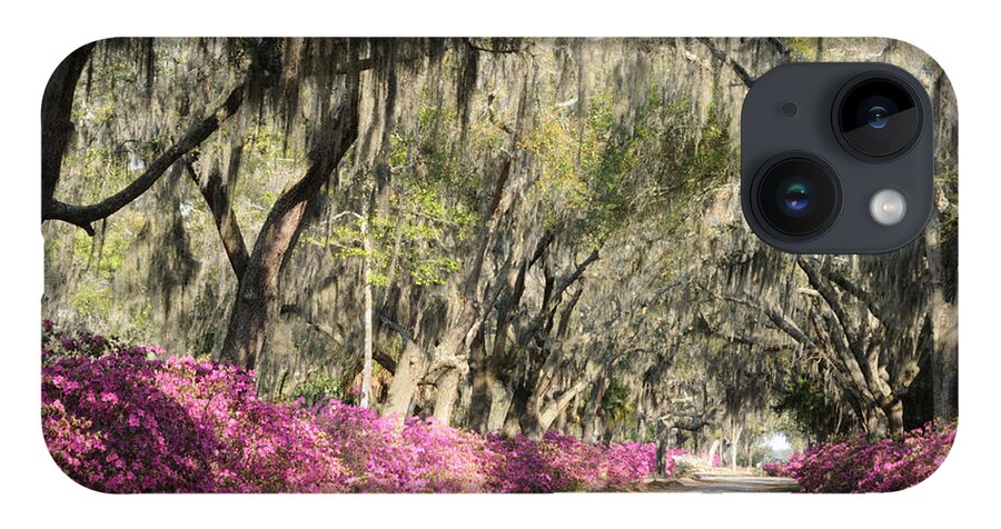 Road iPhone 14 Case featuring the photograph Road with Azaleas and Live Oaks by Bradford Martin