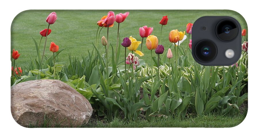 Tulips iPhone 14 Case featuring the photograph Tulip and Hosta Garden by Valerie Collins