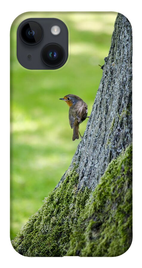 Garden iPhone 14 Case featuring the photograph Robin At Rest by Spikey Mouse Photography