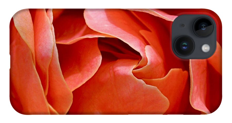 Rose iPhone 14 Case featuring the photograph Rose Abstract by Rona Black