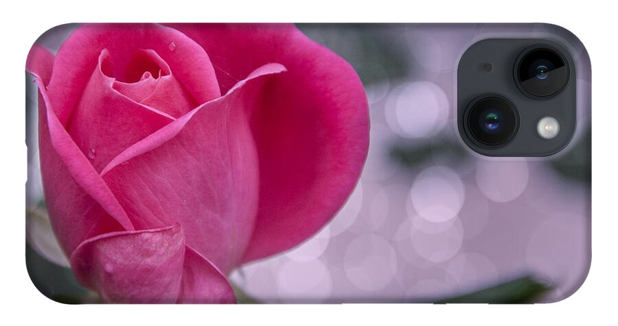 Flower iPhone 14 Case featuring the photograph Rose Drops by Cathy Kovarik