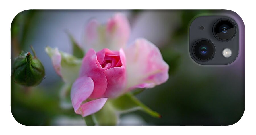 Rose iPhone 14 Case featuring the photograph Rose Emergent by Rona Black