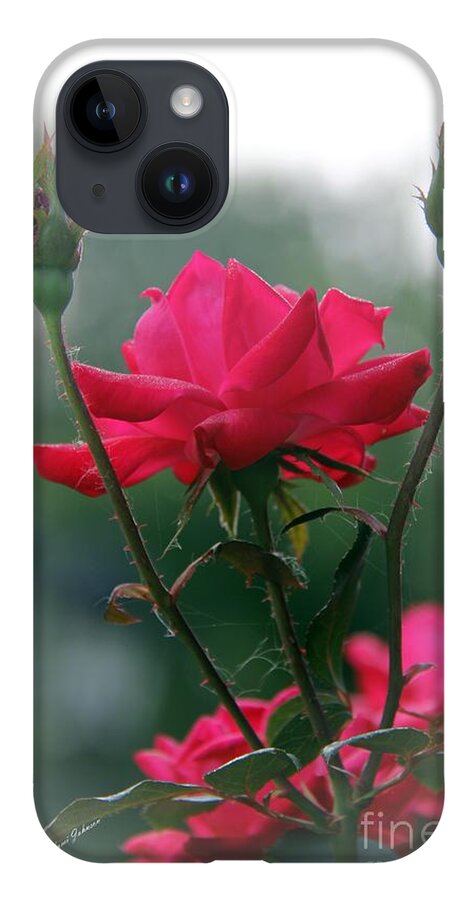 Roses iPhone 14 Case featuring the photograph Rose in the Fogg by Yumi Johnson