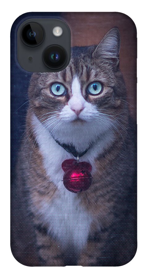 Cat iPhone 14 Case featuring the photograph Ruby by David Downs
