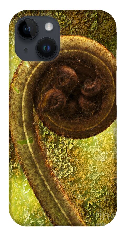 Plant iPhone 14 Case featuring the photograph Rust and Fern by Heiko Koehrer-Wagner