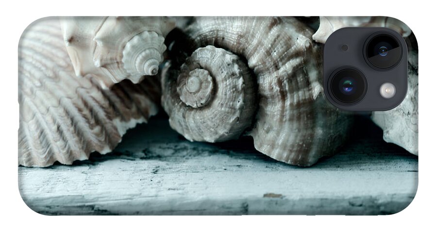 Sea Shells iPhone 14 Case featuring the photograph Sea Gifts by Bonnie Bruno