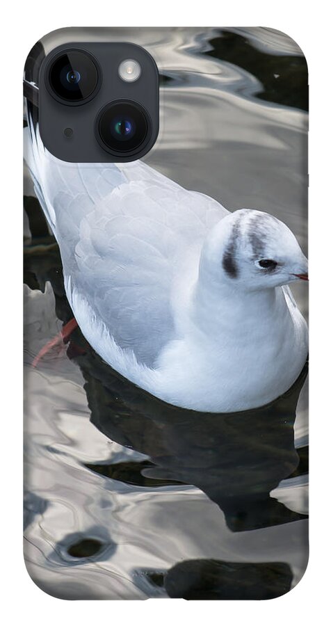 Seagull iPhone 14 Case featuring the photograph Seagull And Water Reflections by Andreas Berthold