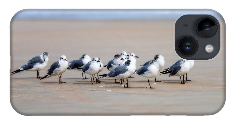 Christopher Holmes Photography iPhone 14 Case featuring the photograph Seagull Parking by Christopher Holmes