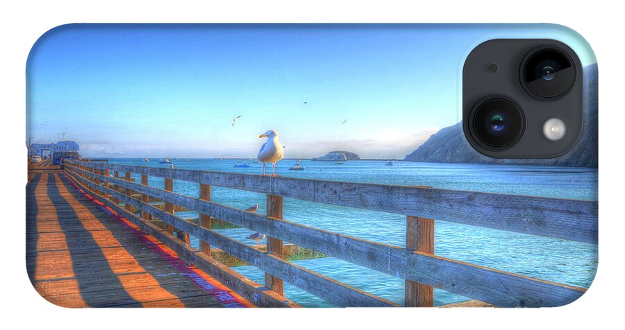 Seagulls iPhone 14 Case featuring the photograph Seagulls and Ocean by Mathias 