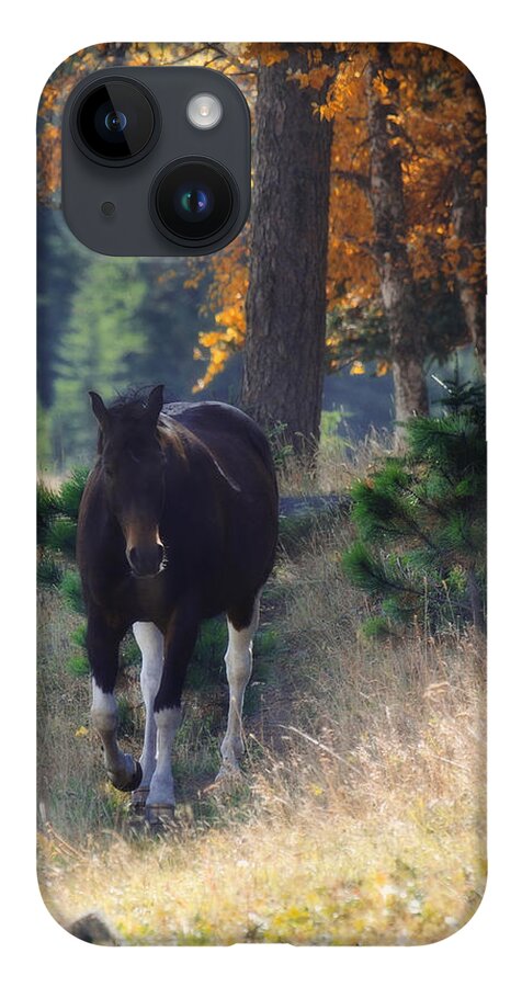 Horse iPhone 14 Case featuring the photograph September Surrender by Amanda Smith