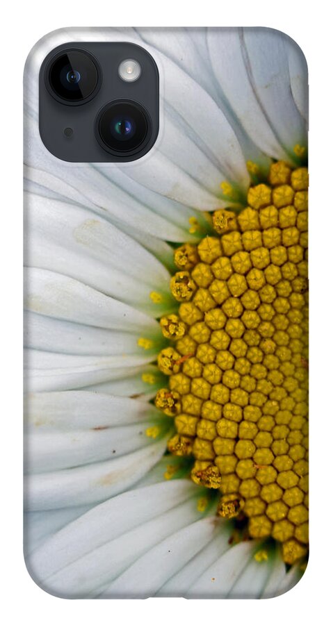 Flowers iPhone 14 Case featuring the photograph Shasta by Jennifer Robin
