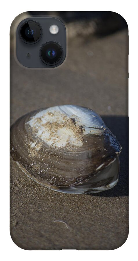 Sea Shell iPhone 14 Case featuring the photograph Shell or someone's dinner by Spikey Mouse Photography