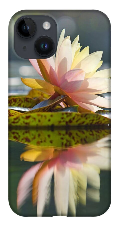 Water Lily iPhone Case featuring the photograph Shining Water Lily by Leda Robertson