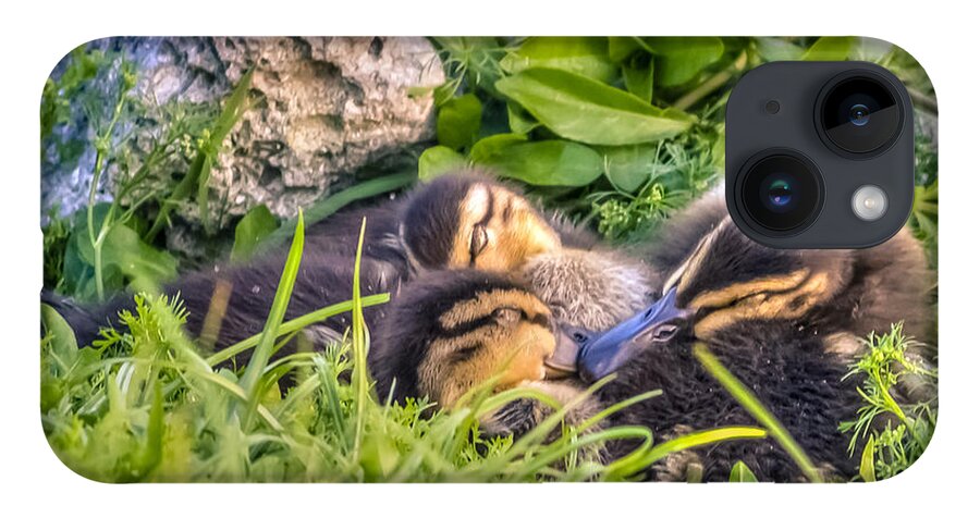 Adorable iPhone 14 Case featuring the photograph Sleepy Ducklings by Rob Sellers