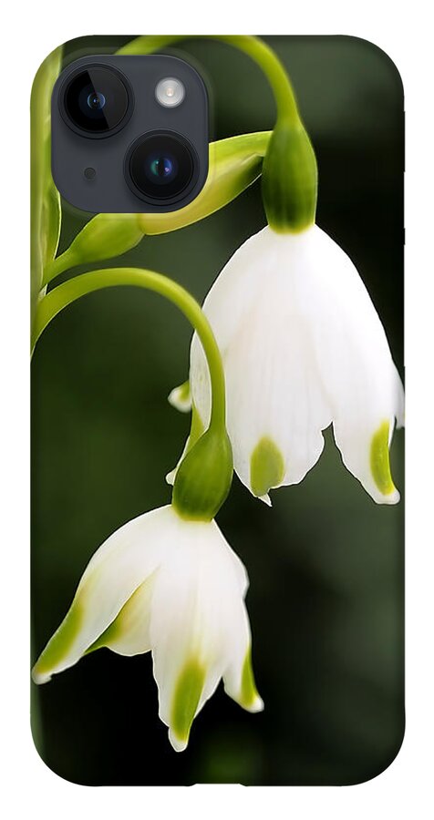 Snowbells iPhone 14 Case featuring the photograph Snowbells in Spring by Rona Black