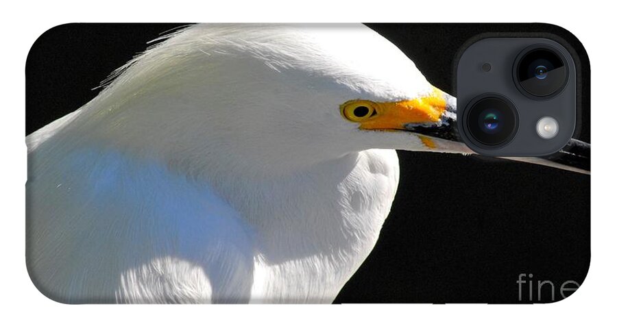 Egret iPhone 14 Case featuring the photograph Snowy Egret by Quinn Sedam