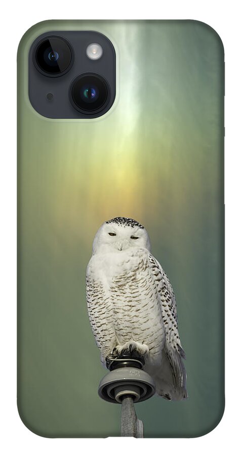 Snowy Owl (bubo Scandiacus) iPhone 14 Case featuring the photograph Snowy Owl And Aurora Borealis by Thomas Young