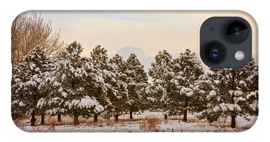 Snow iPhone 14 Case featuring the photograph Snowy Winter Pine Trees by James BO Insogna