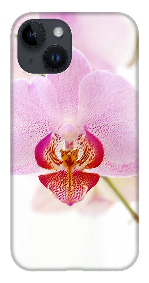 Asia iPhone 14 Case featuring the photograph Soft Orchid by Hannes Cmarits