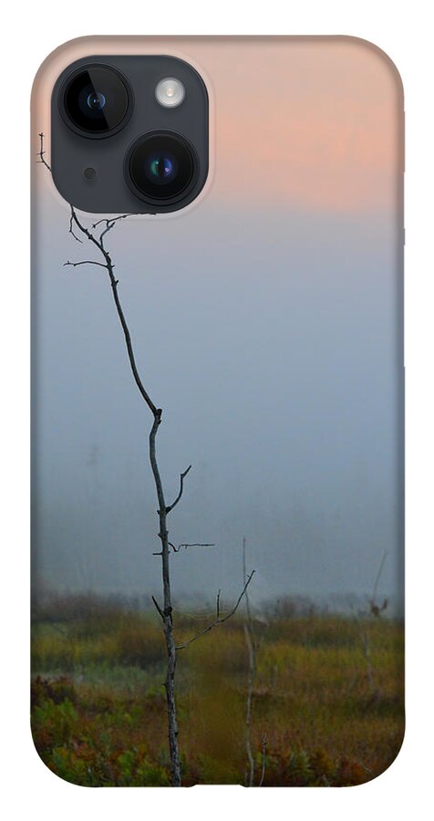 Tree iPhone Case featuring the photograph Solitary by Beth Sawickie