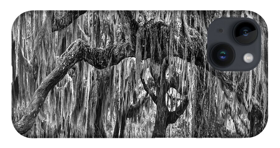 Clouds iPhone 14 Case featuring the photograph Spanish Moss in Black and White by Debra and Dave Vanderlaan