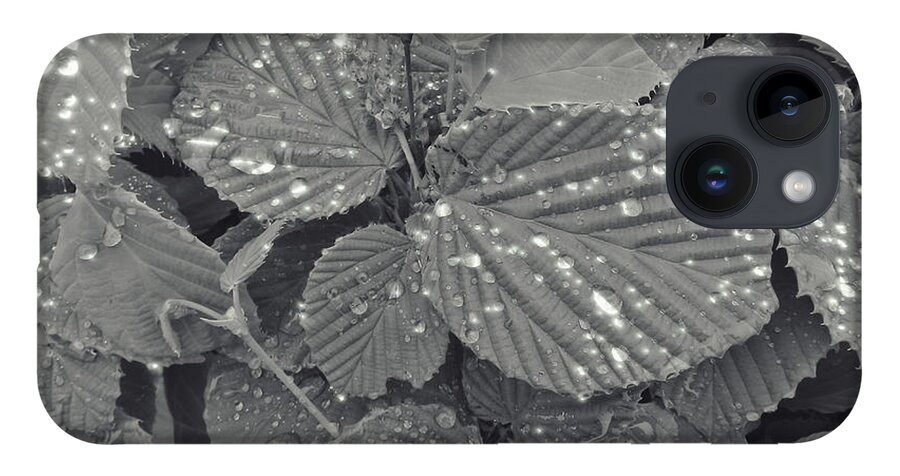 Leaves iPhone Case featuring the photograph Sparkling Leaves by Cathy Anderson