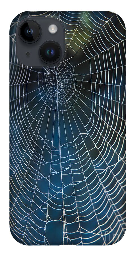Spiderweb iPhone 14 Case featuring the photograph Spider's Net by Heiko Koehrer-Wagner