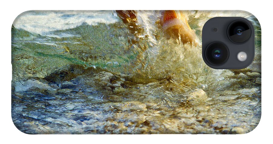 Splash iPhone 14 Case featuring the photograph Splish Splash by Heiko Koehrer-Wagner
