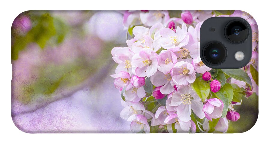 Pink iPhone 14 Case featuring the photograph Spring Blossoms by Cathy Kovarik