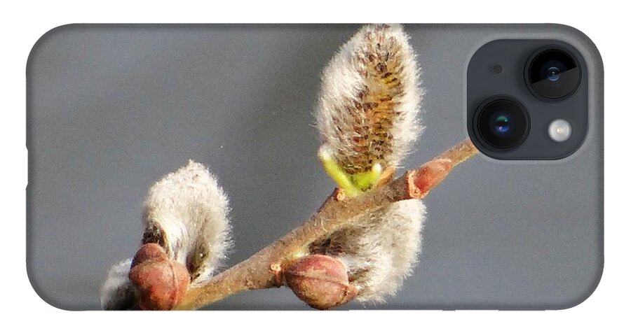 Spring iPhone Case featuring the photograph Spring delight by Karin Ravasio