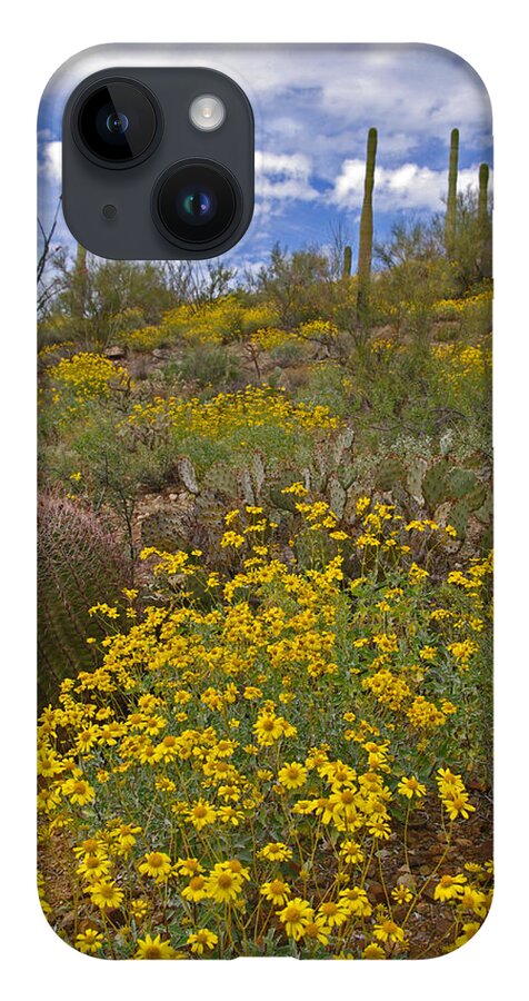 Spring iPhone 14 Case featuring the photograph Spring in the Desert by Will Wagner