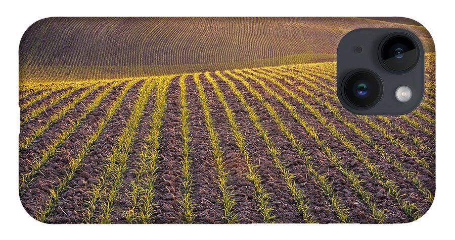 Palouse iPhone 14 Case featuring the photograph Spring Rows by Doug Davidson