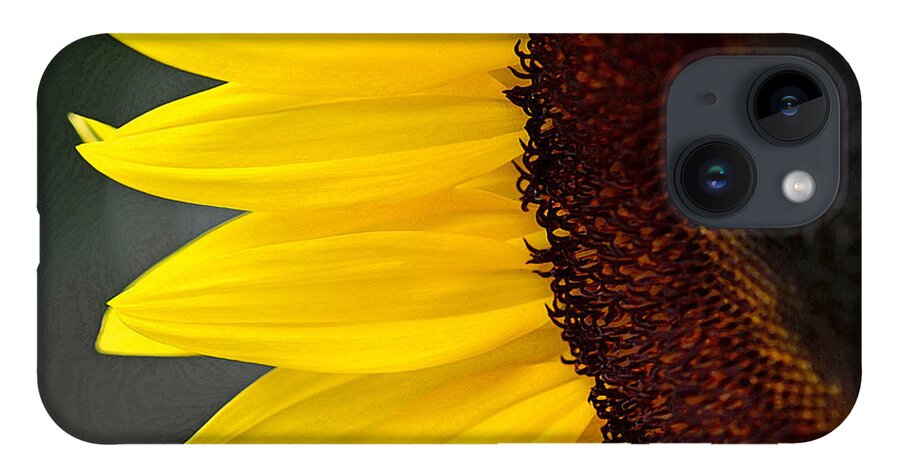Sunflower iPhone 14 Case featuring the photograph Sunflower Beauty by Sandi OReilly