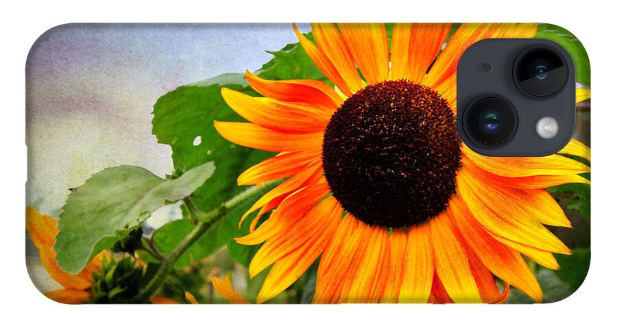 Sunflower iPhone 14 Case featuring the digital art Sunflower by Trina Ansel