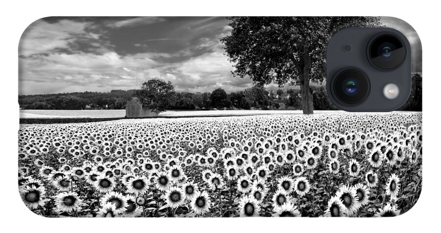 American iPhone Case featuring the photograph Sunflowers in Black and White by Debra and Dave Vanderlaan