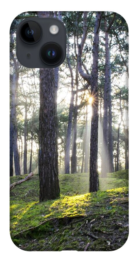 Trees iPhone 14 Case featuring the photograph Sunlit Trees by Spikey Mouse Photography
