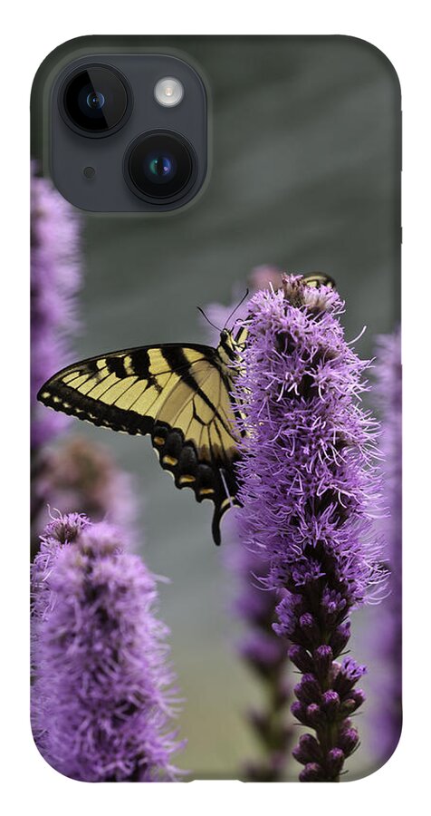 Butterflies iPhone 14 Case featuring the photograph Swallowtail 0003 by Donald Brown