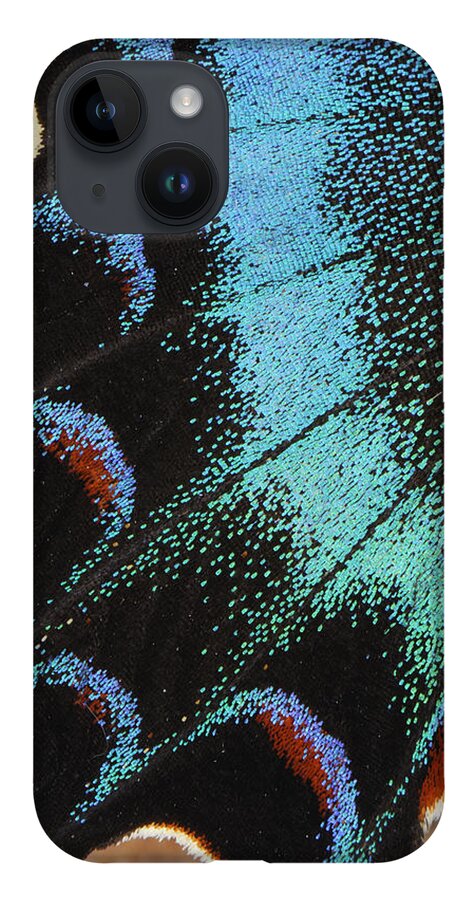 Feb0514 iPhone 14 Case featuring the photograph Swallowtail Butterfly Wing Scales by Thomas Marent