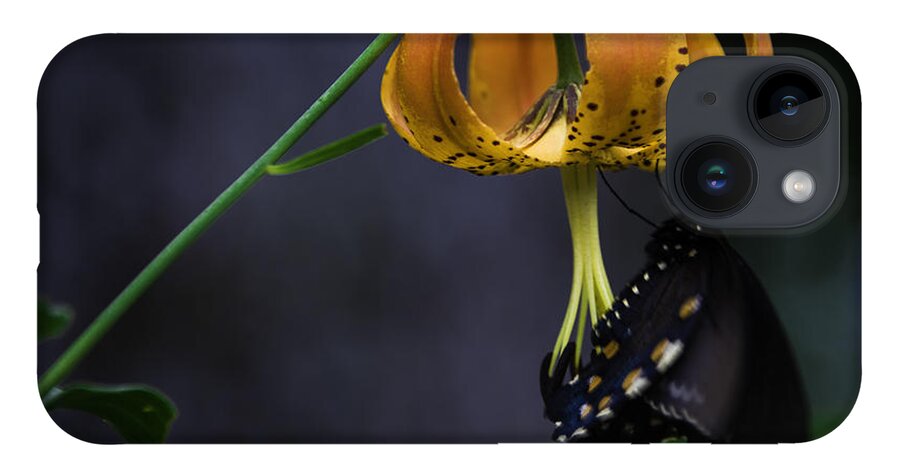 Appalachian iPhone 14 Case featuring the photograph Swallowtail on Turks Cap by Donald Brown
