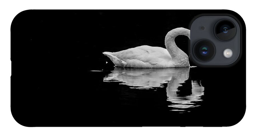 Swan iPhone 14 Case featuring the photograph Swan 2 by David Downs