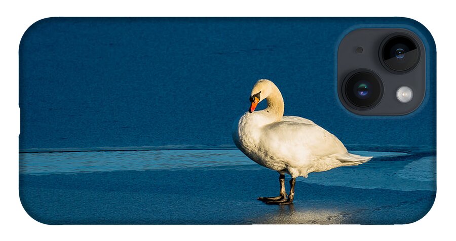 Swan iPhone 14 Case featuring the photograph Swan In Last Sunlight On Frozen Lake by Andreas Berthold