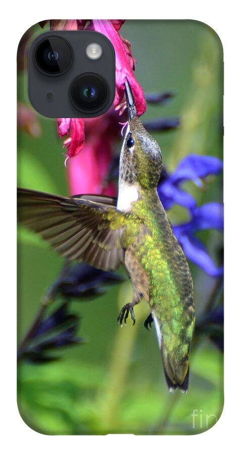 Birds iPhone 14 Case featuring the photograph Sweet Hummer by Kathy Baccari