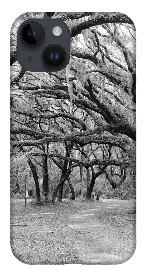 Oaks iPhone 14 Case featuring the photograph Tangled Oaks by Andre Turner