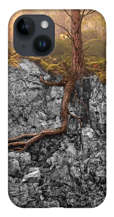 Tree iPhone 14 Case featuring the photograph Taproot by Mary Jo Allen