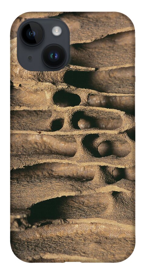 Zoology iPhone Case featuring the photograph Termite Nest by Pascal Goetgheluck/science Photo Library