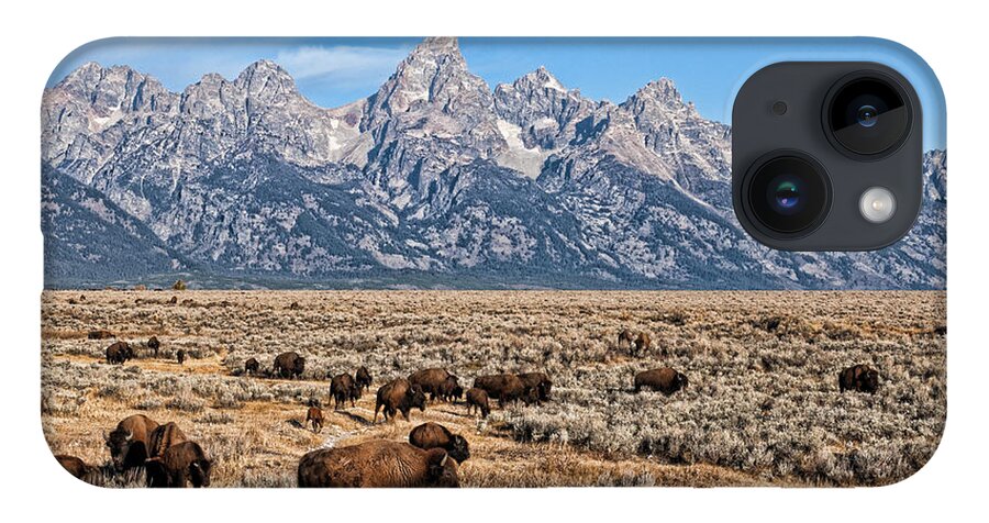 Teton iPhone 14 Case featuring the photograph Teton Buffalo by David Armstrong