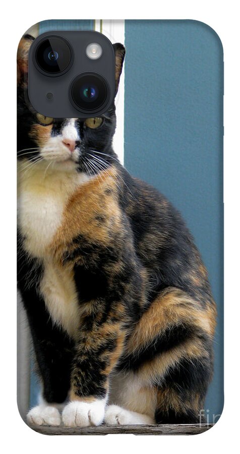 Cat iPhone 14 Case featuring the photograph The Art Of Watching by Rory Siegel