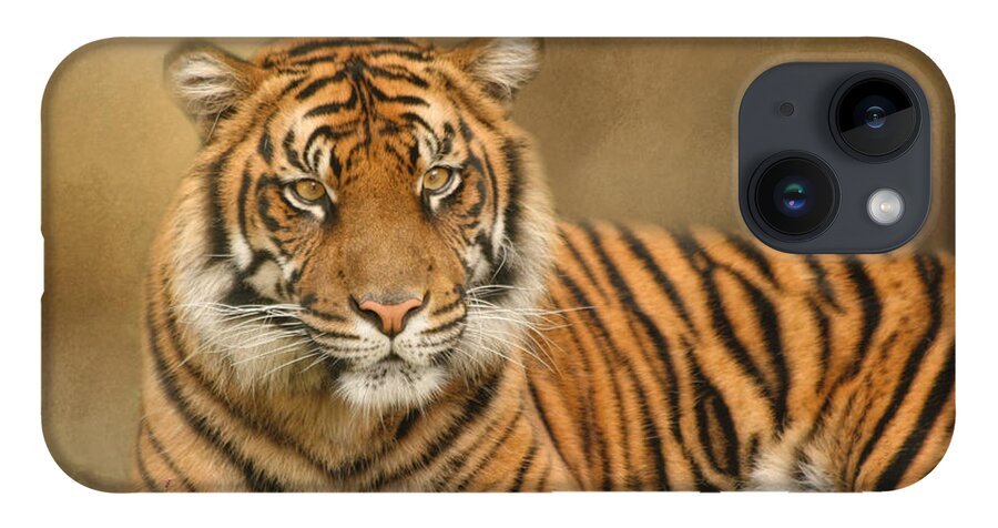 Africa iPhone 14 Case featuring the photograph The Big Cat by Kim Hojnacki