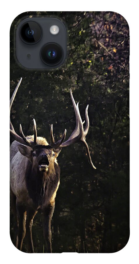 Bull Elk iPhone 14 Case featuring the photograph The Boxley Stud Snuffing by Michael Dougherty