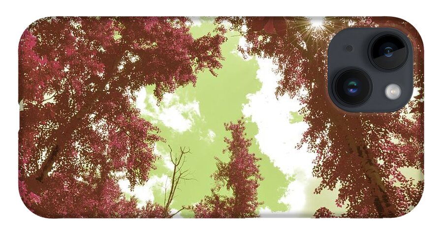 Pink Trees iPhone Case featuring the photograph The Glimpse Sublime by Laureen Murtha Menzl